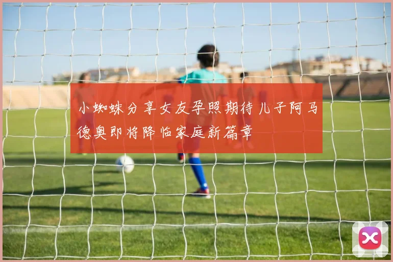 小蜘蛛分享女友孕照期待儿子阿马德奥即将降临家庭新篇章