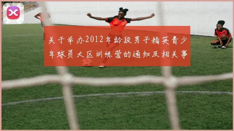 关于举办2012年龄段男子精英青少年球员大区训练营的通知及相关事项说明