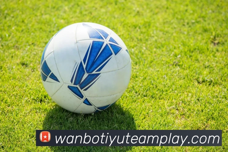 万博体育发展历程